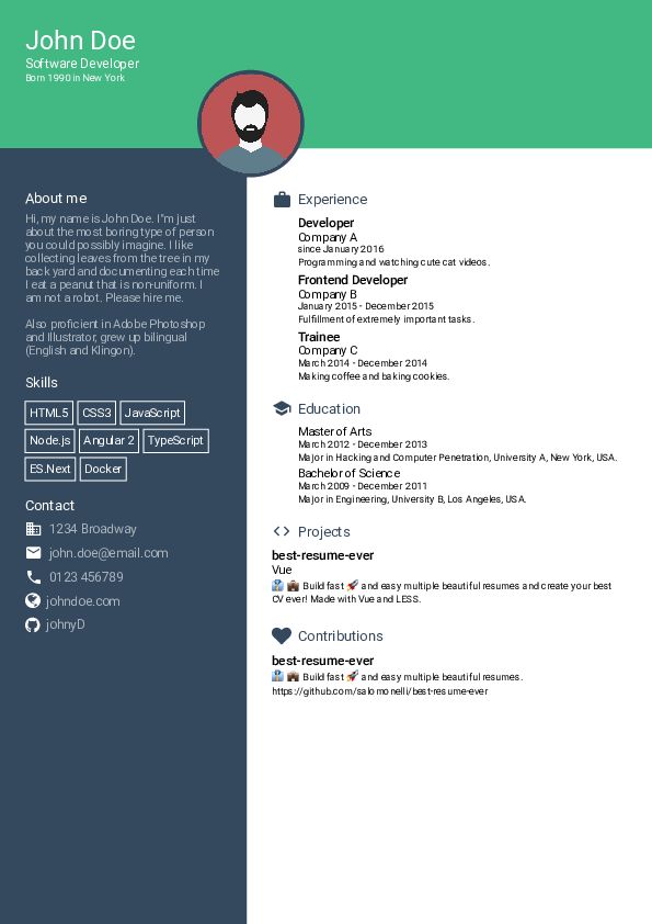 Best Resume ever. Js CV example. CV example JAVASCRIPT. JAVASCRIPT CV example pdf.