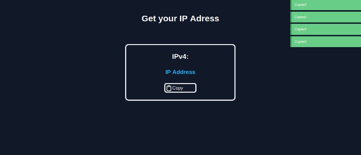 An easy to use web app in vue to display the users ip Address