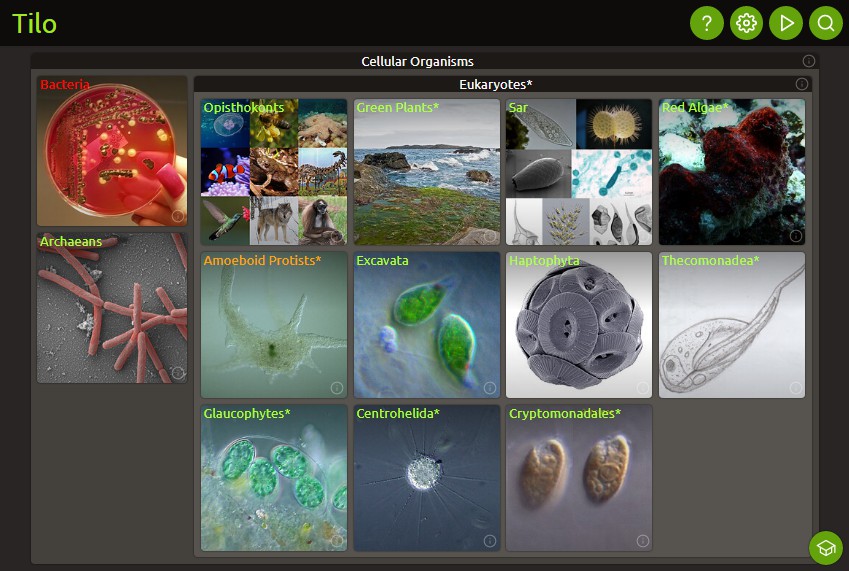 A visual explorer for the biological Tree of Life